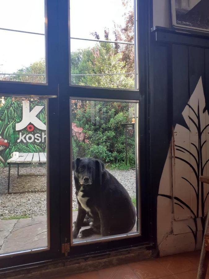Kosh Vandrerhjem San Carlos de Bariloche Eksteriør bilde