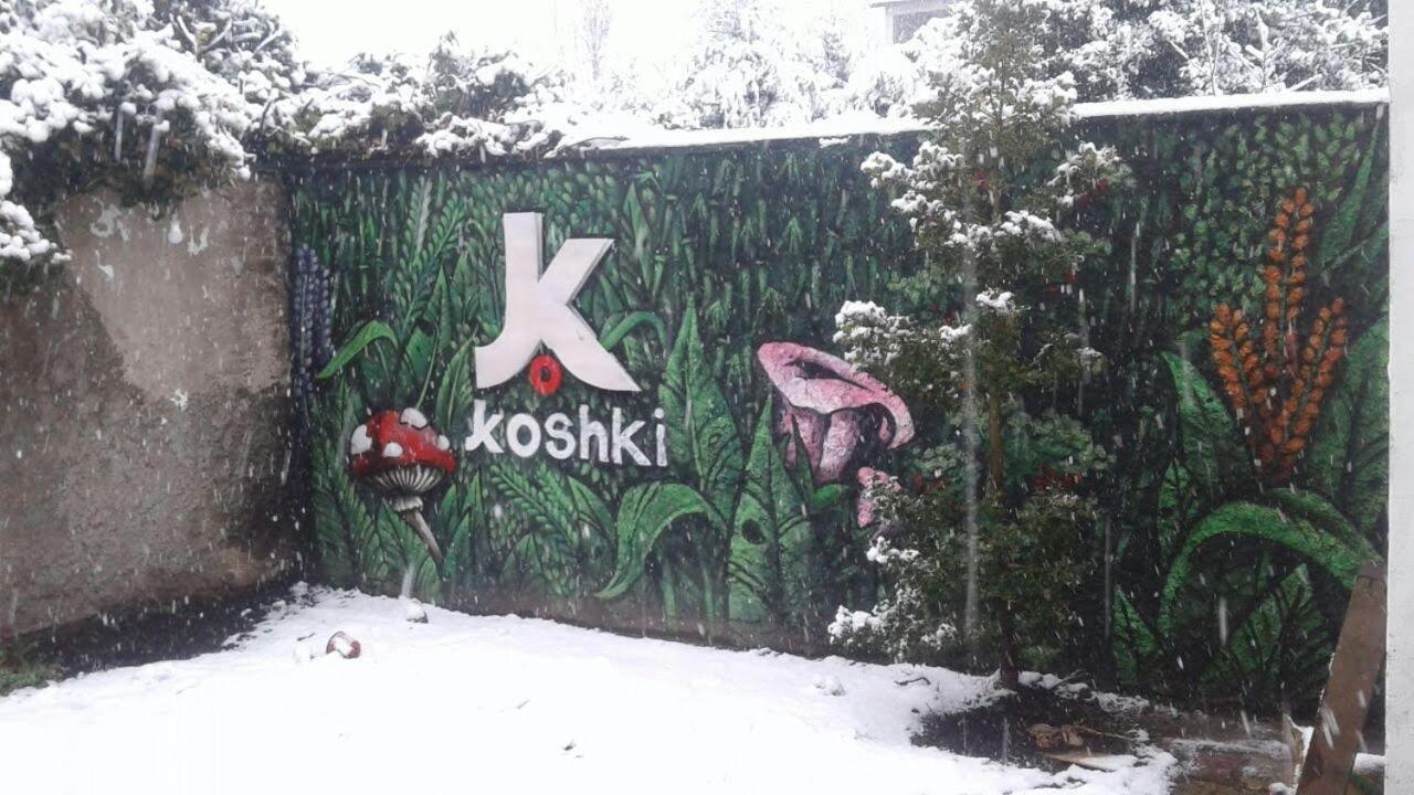 Kosh Vandrerhjem San Carlos de Bariloche Eksteriør bilde